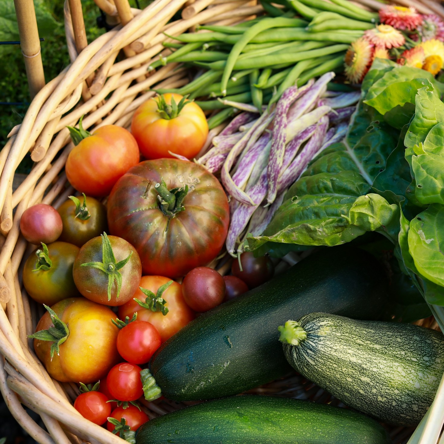 Understanding The True Value Of Sustainability